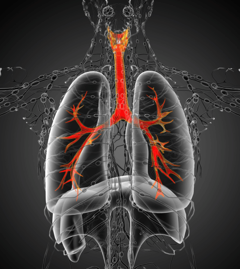 Pulmonology and breathing health
